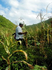 The majority of the Belizean economy is comprised of the tourism industry. Agriculture is also key part of the economy.